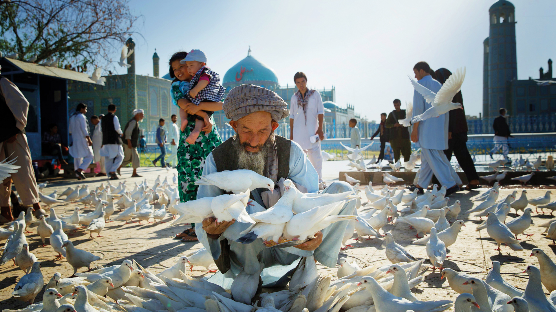 Ein Afghane sitzt vor einer Moschee und hat viele Tauben in den Händen, im Hintergrund sind Menschen und viele Tauben