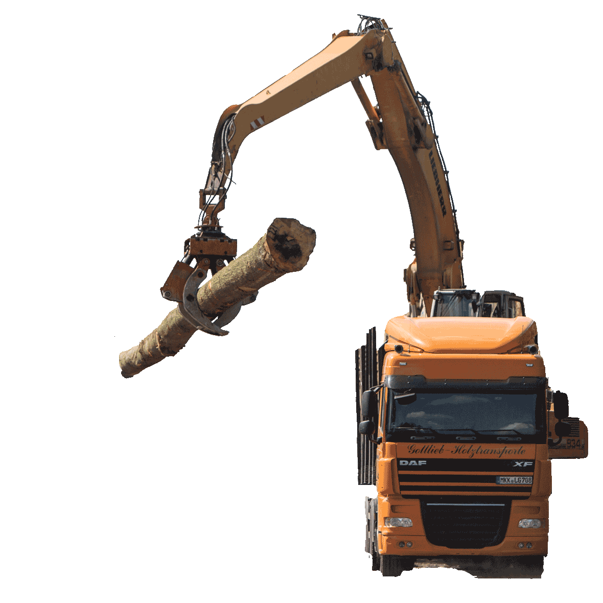 Forstwirtschaftsbetrieb LKW mit Kran hebt Baumstamm